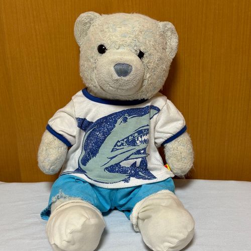 今日のけあはサメの服。
こう見えてけあは時々サメ映画を観るよ。くだらなさがいいんだよね。
あれ、膝の上に乗ってきたキミはイルカのような…？

明日から旅行だから、返信遅くなるかも。ごめんね。