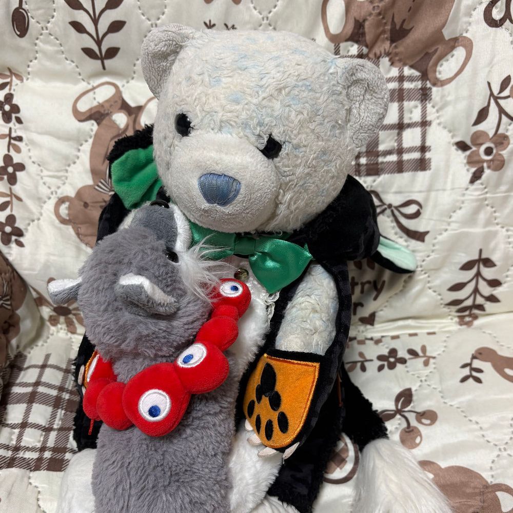 ハッピーハロウィン。けあは黒猫になったよ。
おおはしっぽで遊んだと思ったら、フードを脱がせにきたりして忙しいね。
最後は撫でてあげて満足させたよ。

今日は名古屋に来てるよ。お察しの通り、駅伝だよ。
コメントは帰宅してからするね。