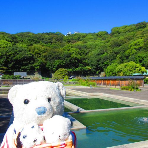 松山城二之丸史跡庭園。モダンな庭園だったよ。
ちなみに恋人の聖地らしい。
4枚目はロープウェイ乗り場にいた猫さん。吾輩はクマだよって言ったら、変な顔されたよ。