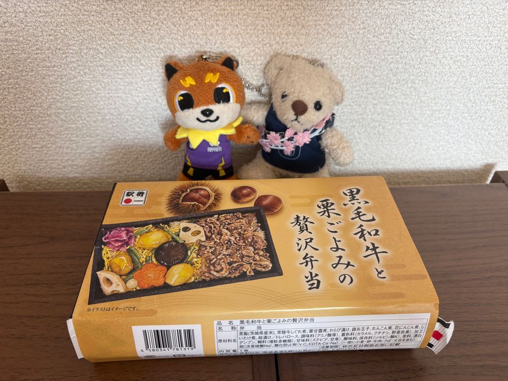 最悪だ。旅行でいっぱい汗つけられたせいで、お風呂にいれられた。けあは怒ってるよ。
干されてる間に箱根駅伝予選会があって、最高の結果だったみたい。てつこんくんたちはお祝いの駅弁を食べてたよ。
夜は祝酒に付き合ってあげたよ。けあはまだお酒飲めないんだけどな。