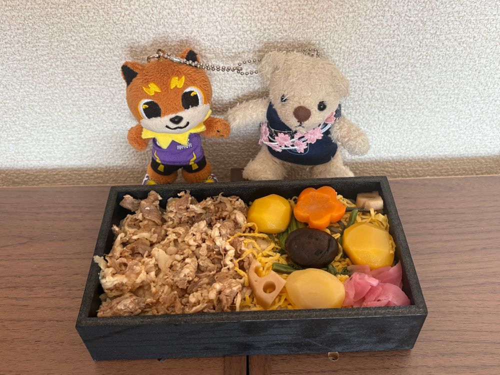 最悪だ。旅行でいっぱい汗つけられたせいで、お風呂にいれられた。けあは怒ってるよ。
干されてる間に箱根駅伝予選会があって、最高の結果だったみたい。てつこんくんたちはお祝いの駅弁を食べてたよ。
夜は祝酒に付き合ってあげたよ。けあはまだお酒飲めないんだけどな。