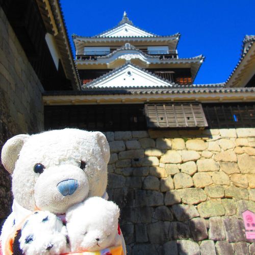 次は松山城へ。
松山城はすごく高いところにあるんだ。カッコいいね。
けあは武士になった気分だったよ。
4枚目の甲冑、けあも着てみたいな。