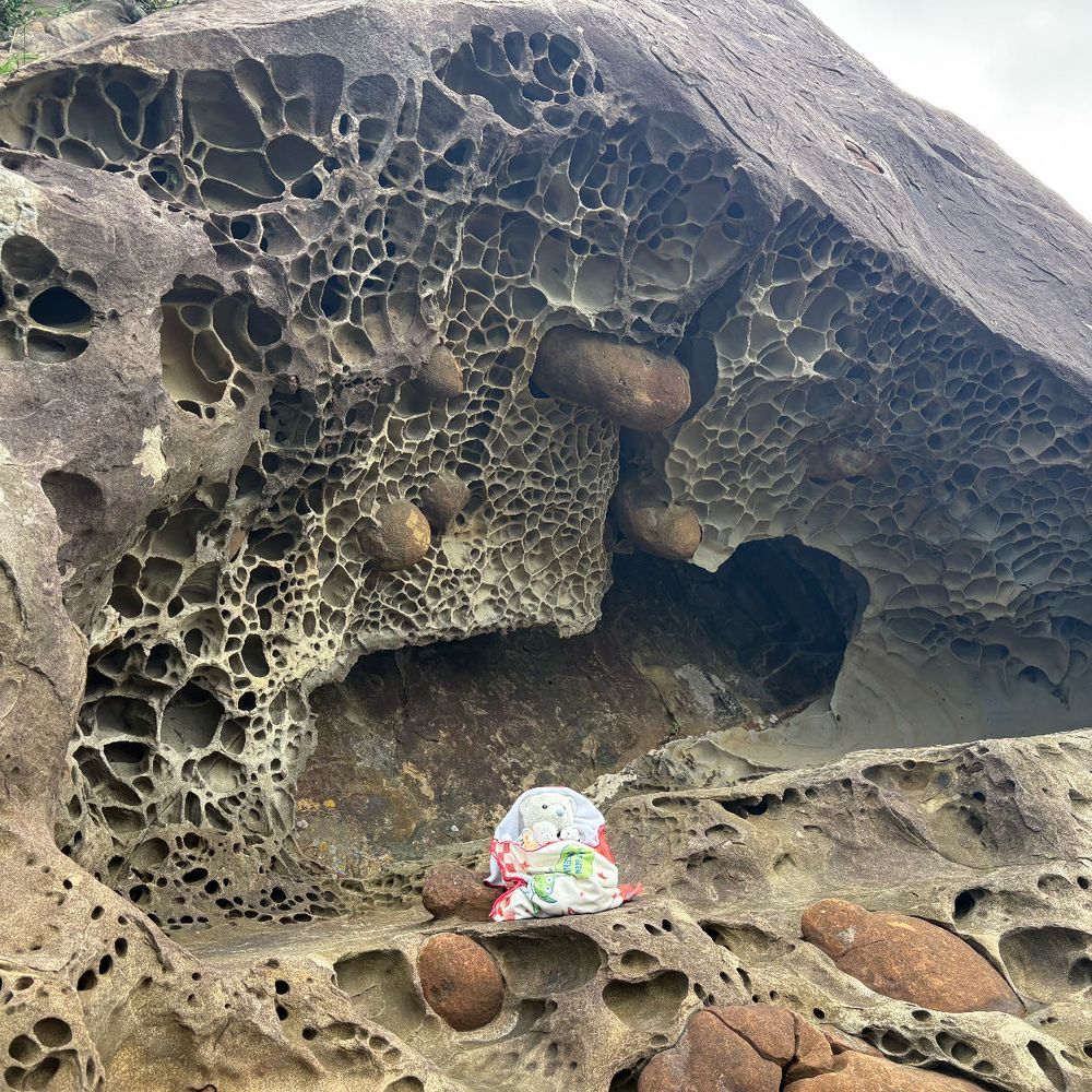 昨日は高知に入って四万十川、柏島、竜串、足摺岬に行ってきたよ。
1枚目は沈下橋。欄干がなくて、見てるだけでぞわぞわしたよ。
2枚目はおふうちゃんが勧めてくれた柏島。イルカがいたよ。けあたちは合成。
3枚目は竜串。岩がぶつぶつになるの、ふしぎだね。
4枚目は足摺岬のホテルで夜中に目が覚めて外に出たら見えた満天の星空。
※コメント遅くなります。