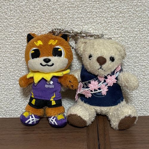 明日は運命の箱根駅伝予選会。
てつこんくんとりくワンがソワソワしてたよ。
本当はふわもこ大学として出場するよていだったんだけど、メンバーが足りずに断念したみたい。
けあも誘われたけど断ったよ。けあは歩くのすらイヤだからね。