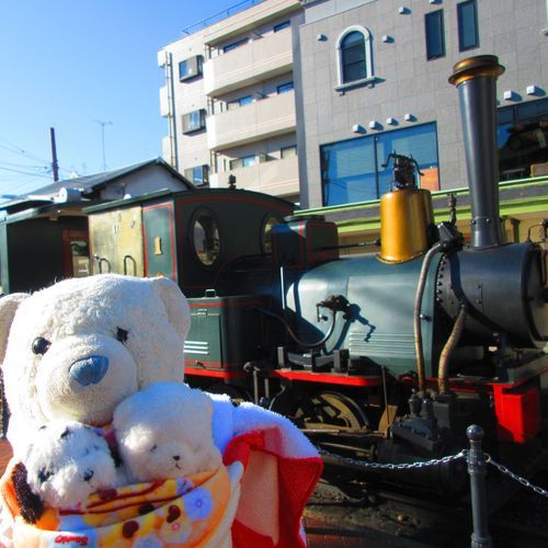 次は道後温泉駅へ。
駅前に坊ちゃん列車とカラクリ時計があったよ。
3枚目は商店街にあったレトロな場所。
そして4枚目が道後温泉本館。おやは湯に浸かってたよ。けあたちはロッカーでお留守番。つまんなかったよ。