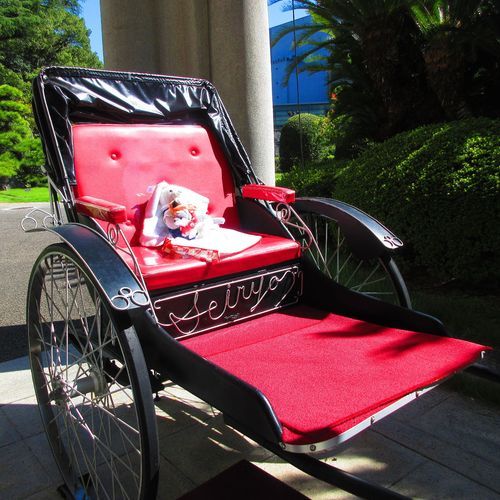人力車に乗ったよ。おや、はやく動かして。
ちなみに日が当たってとても暑かったよ。
3枚目の人力車には先客がいたよ。けあたちも乗せて。