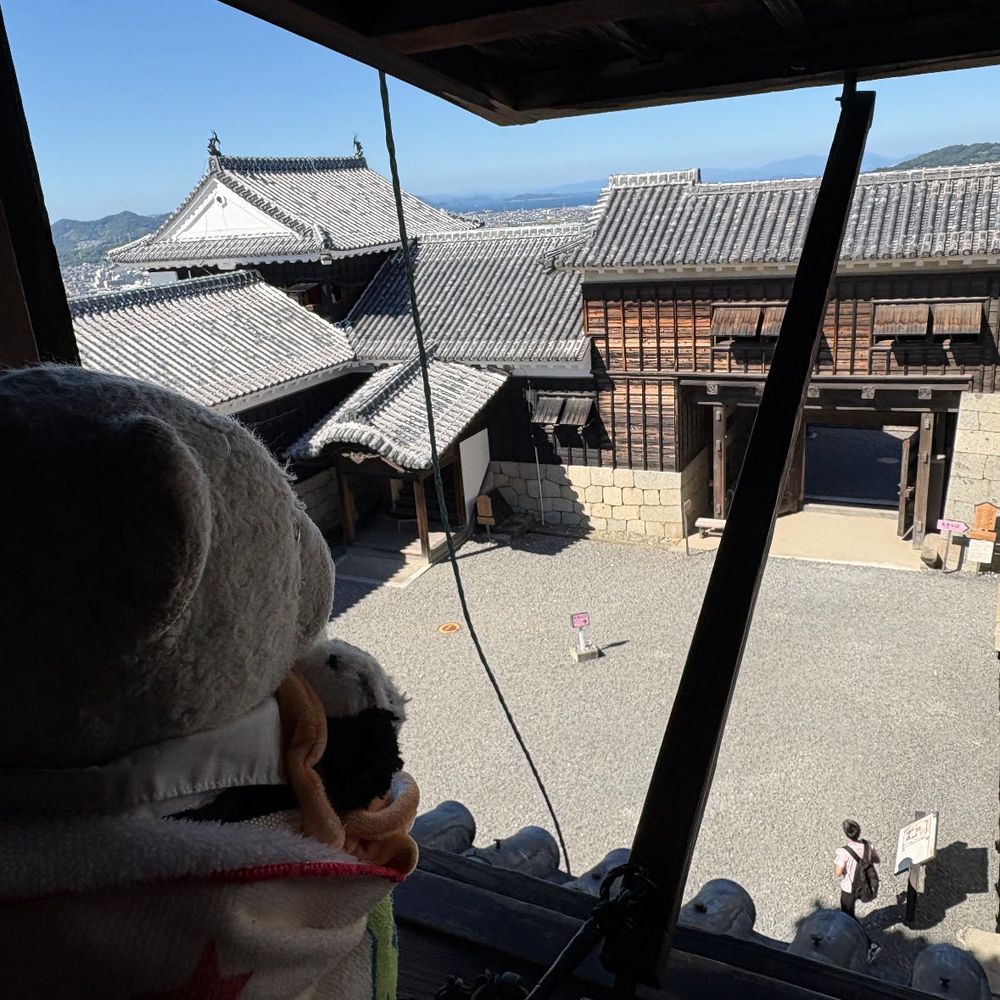 次は松山城へ。
松山城はすごく高いところにあるんだ。カッコいいね。
けあは武士になった気分だったよ。
4枚目の甲冑、けあも着てみたいな。