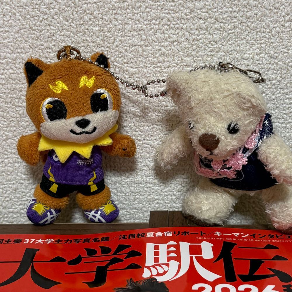 明日は運命の箱根駅伝予選会。
てつこんくんとりくワンがソワソワしてたよ。
本当はふわもこ大学として出場するよていだったんだけど、メンバーが足りずに断念したみたい。
けあも誘われたけど断ったよ。けあは歩くのすらイヤだからね。