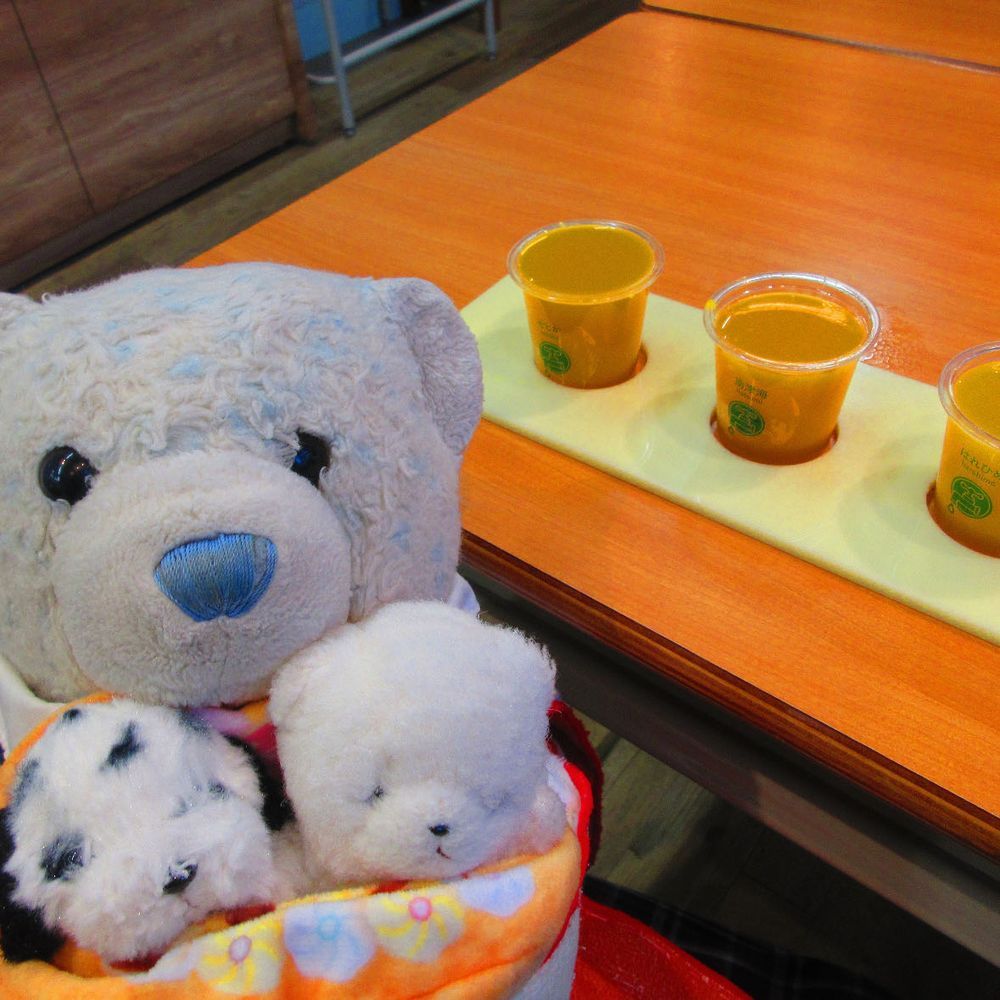 愛媛では蛇口からみかんジュースが出るお店に行ったよ。
どれにするか迷って、せとか、南津海、はれひめを飲んだよ。味が全然違ってびっくりしたよ。
けあの好みは南津海。すごく美味しかったよ。