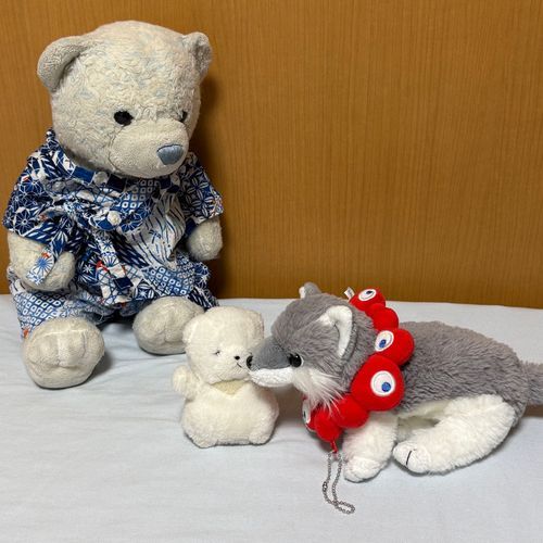 旅行を機に仲良くなったちびとおおくん。けあは疎外感…
なんて思ってたら、おおくんがぺろぺろしにきたよ。
そのまま2匹がけあのうえで寝ちゃったよ。けあも寝るかな。おやすみ💤