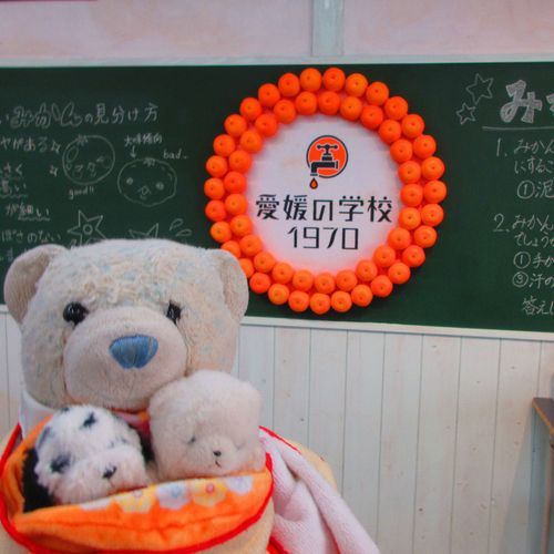 愛媛では蛇口からみかんジュースが出るお店に行ったよ。
どれにするか迷って、せとか、南津海、はれひめを飲んだよ。味が全然違ってびっくりしたよ。
けあの好みは南津海。すごく美味しかったよ。