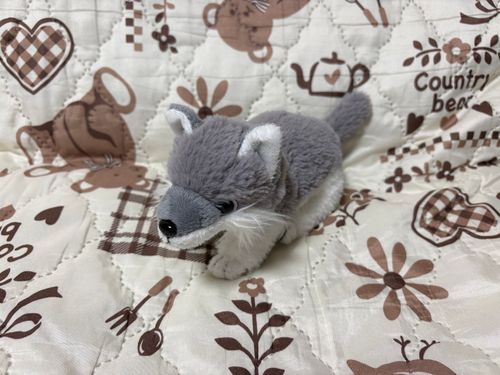ミャクミャクのくびわ　おせんたく　わすれてたみたい。まだ　かえしてもらえない。おお　すごくおこってる。
やさしいでかが　けーさつぼーし　かしてくれた。
でか　だいすき！ばんぱくぐみで　きねんさつえい♪