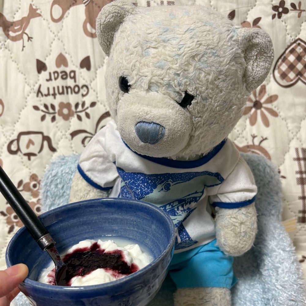 栗原に行ったときに買ったブルーベリーソースを食べてみるよ。
ヨーグルトにかけて完成。美味しいね。ヨーグルトとブルーベリーは相性抜群だ。