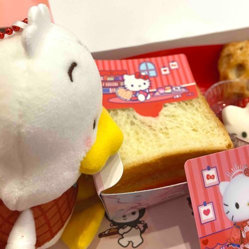 ようやく始めました🐥