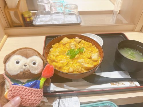 ぽんたちゃんはかわいいから、ヨーコに親子丼おごってもらったぽん！じつはうつってないけど、
はちみつうめぼしがついてたぽん。
甘くて親子丼とぴったりの味だったぽんよ。
