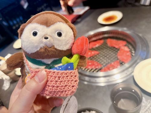 ぽんたちゃん
よーこの家族の集まりに参加したぽんね。
ポンタちゃんの前にはカルビが山盛り。ゆめみたい。。。ゆめぽんかも。