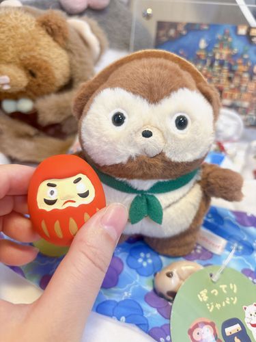 よーこのだいえっときがんしたぽん！だるまのかためいれたぽん。
なつおわるころにはやせてるぽんよね？よーこ。