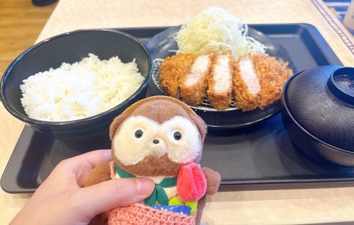 ぽんたちゃんよーこのやけカツにつきあったぽん。
よーこはやけになると、カツをたべたくなるそう。
おとなはなやみがおおいぽんねぇ。
ぽんたちゃんはきゅーさいでかわいいから、なやみないぽんよ。カツはちゃんとはんぶんこしたぽんよ。