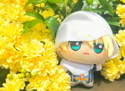 もっこばら もこもこ さいてた。　ちびんば
