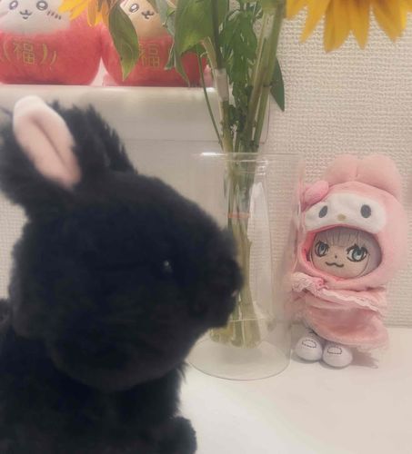 またあたらしいこ ふやしてる…