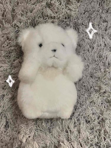 かがやくおーらをまとうは わたげです