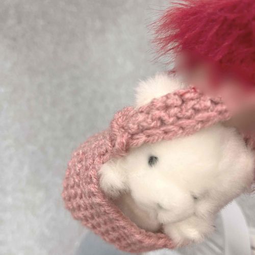 お出かけ中に外見れるようにわたげサイズの小さいかばん編んでくれた！