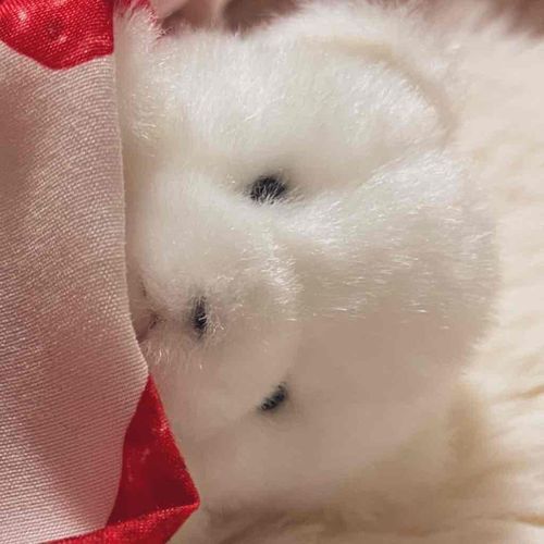 お昼寝してたらこんな時間！