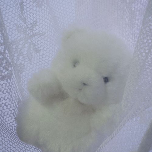 わたげはかいぬしに わたちゃんてよばれてる。みんなは保護者さんになんてよばれてる ？