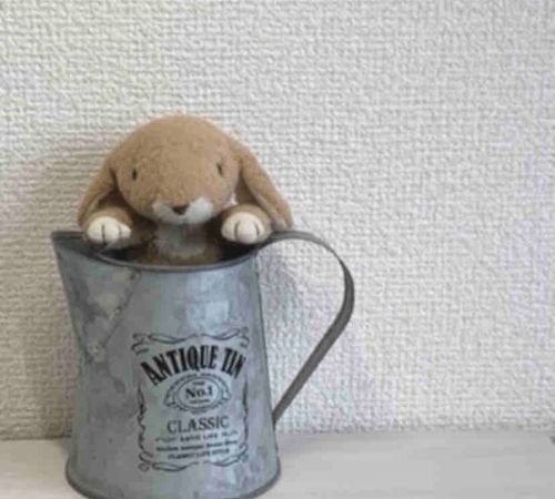 うさぎのちゃるだよ。よろしくね！