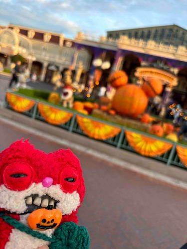 夢と魔法の国へいきました🎃🪄