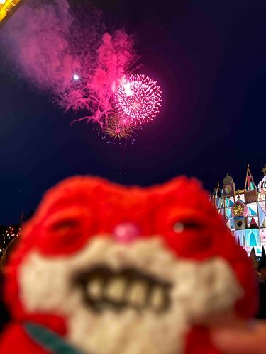 夢の国で花火みた！
2024ねん。たのしかったね🫶