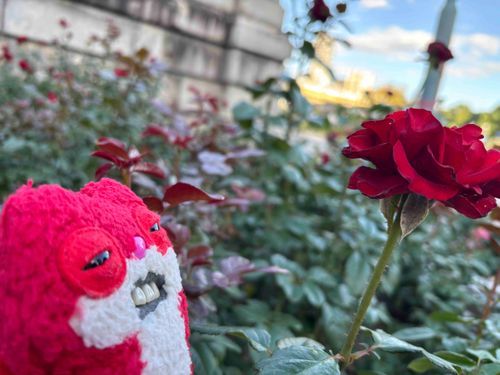 バラ園で🌹