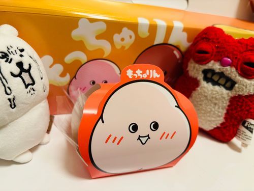 つ、ついに‼️