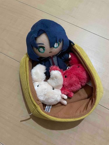 カニ🦀に囲まれるザラさん