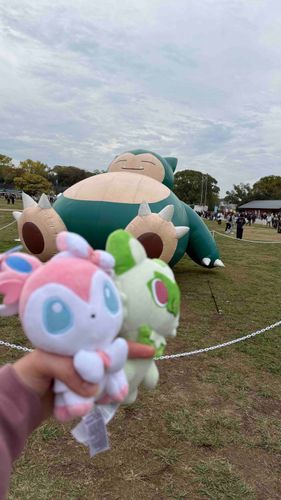 でかいカビゴン(๑⃙⃘¯−¯๑⃙⃘)と
ニンフィアとニャオハコンビ(ピンぼけ)