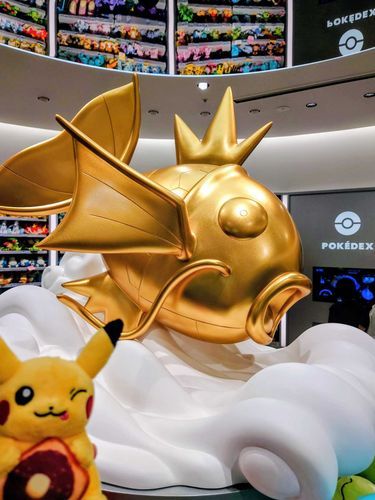 ✨ピッカピカのコイキング✨
里帰り楽しかったね！