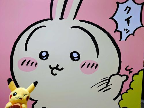 お友達の大好きなうさぎさんだね！✨
楽しそうなお友達を見れてトレーナーも嬉しい！