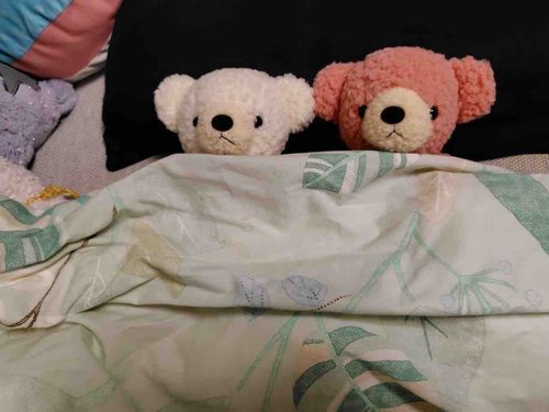 あたたかくしておやすみなさい💤