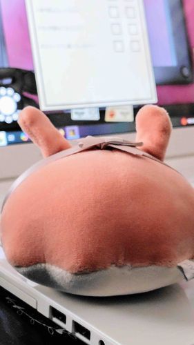 今話題ののPCゲーム！