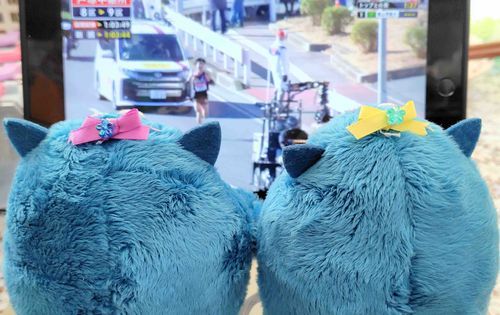 おしょうがつのふうぶつし　みてたよ！