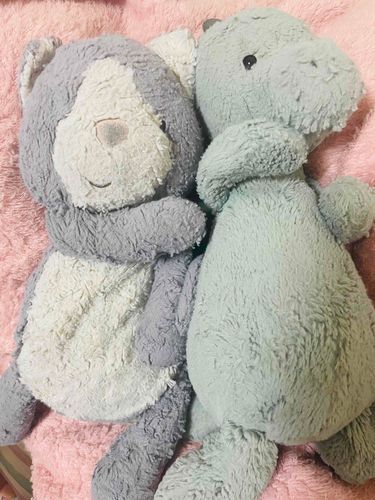 生まれたばっかりみたいー？！