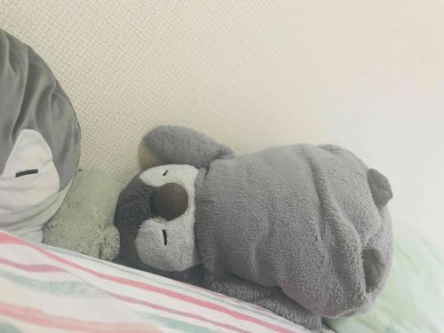 ふあぺんです、実はふあぺんは寝相が悪いのでした、ぐー。。