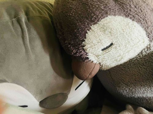 僕達ずっとおねむなのです。。すやすや