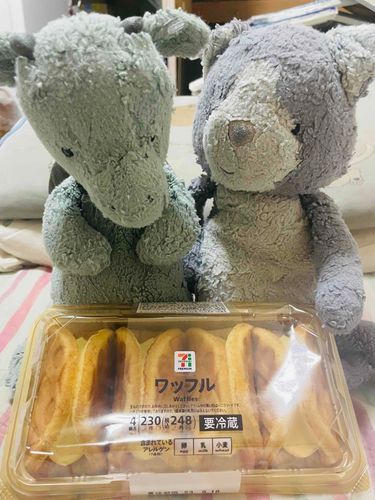 今日はおうちのひとのお誕生日！僕達はふあふあしてあげるんだー！！