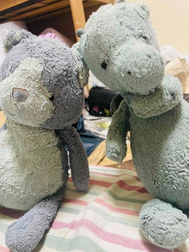 こゝろのどこかで寄り添い合っていれば、僕達はみんないつでも一緒なんだ！