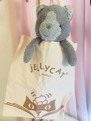 お出かけが不安ならぐちゃが着いて行きますよっと！