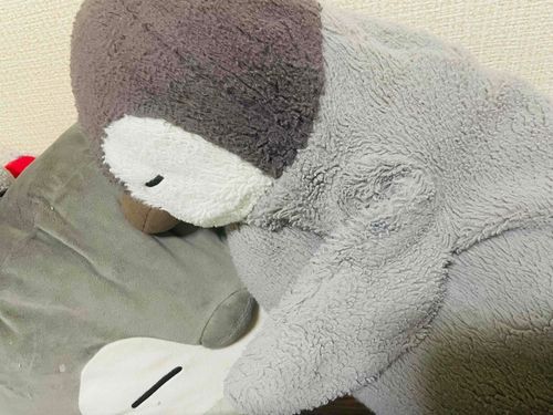 しあわせなすやすや