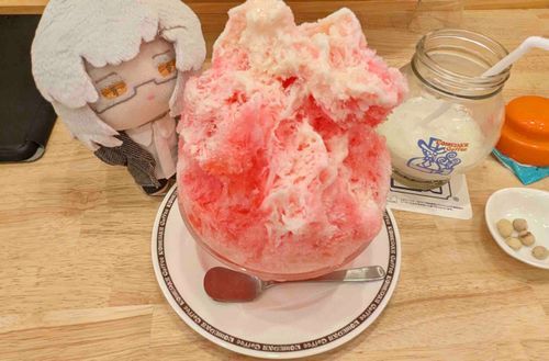 そとが あんまりにも あつくて くらくらするので
あわてて こおりを たべにいった
ミニサイズと きいていたのだが
なんだか おれより おおきくないか
