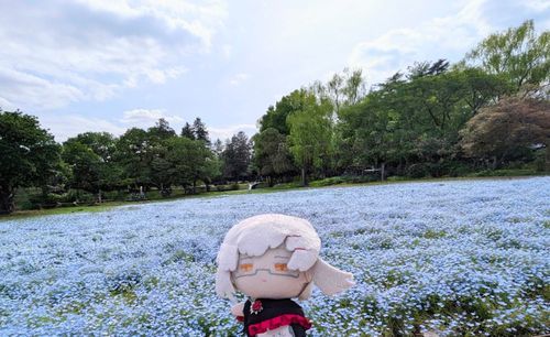 しばらく まえに はなを みにいったときの しゃしん だ
いちめん あおくて すずしげ だったな