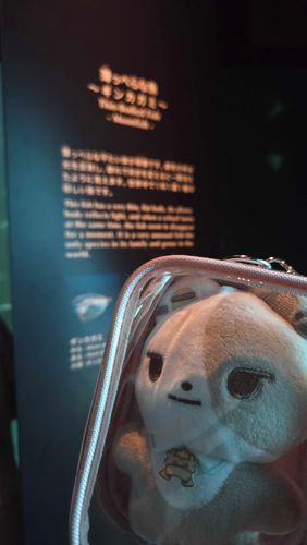水族館でギンカガミというお魚さんを発見！ギンカガミですか…?!と言ってケースの中からギンカガミを見ていました。加賀美さんじゃなくて、光に反射して鏡みたいにキラキラなお魚さんでした。
